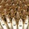 ATF Says All 556 Ammo Is Dangerous