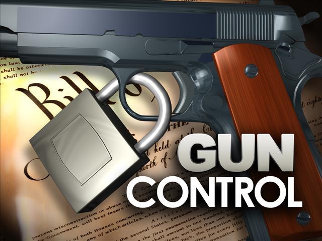 gun control in SC